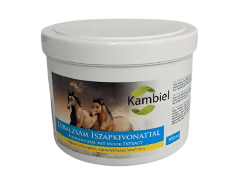 

Гель-бальзам с грязью Мертвого моря (500 мл)