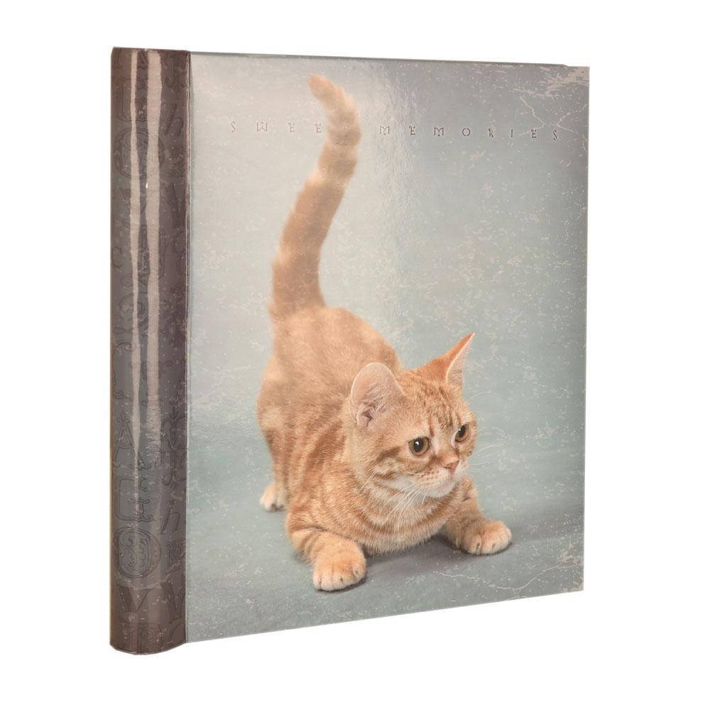 

Фотоальбом с магнитными листами Cats 20 листов 21х28см., Разные цвета