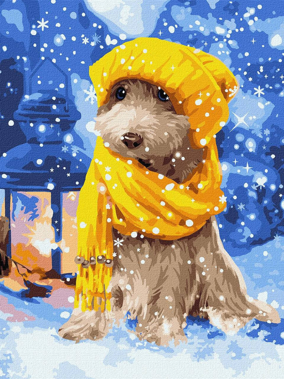 

Картина за номерами 30х40 см. Терьер Пушистый друг. Идейка.КНО4265