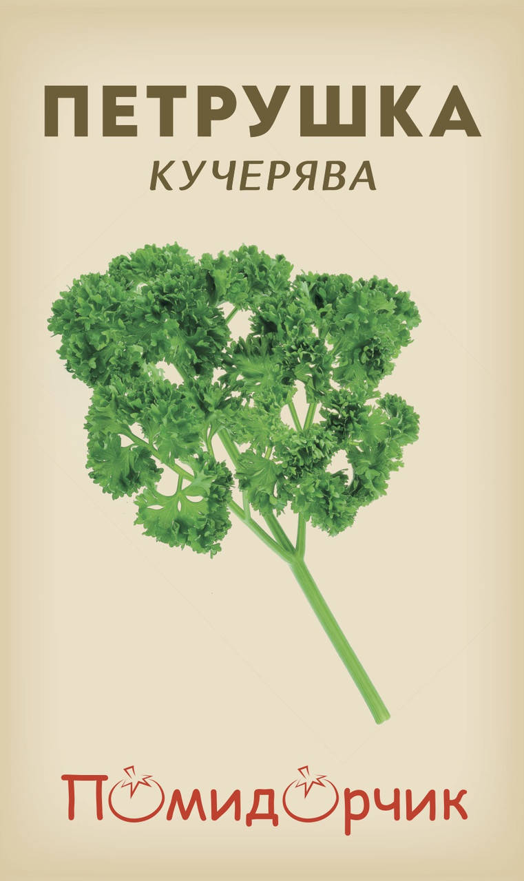 

Семена петрушки "Кучерявая"