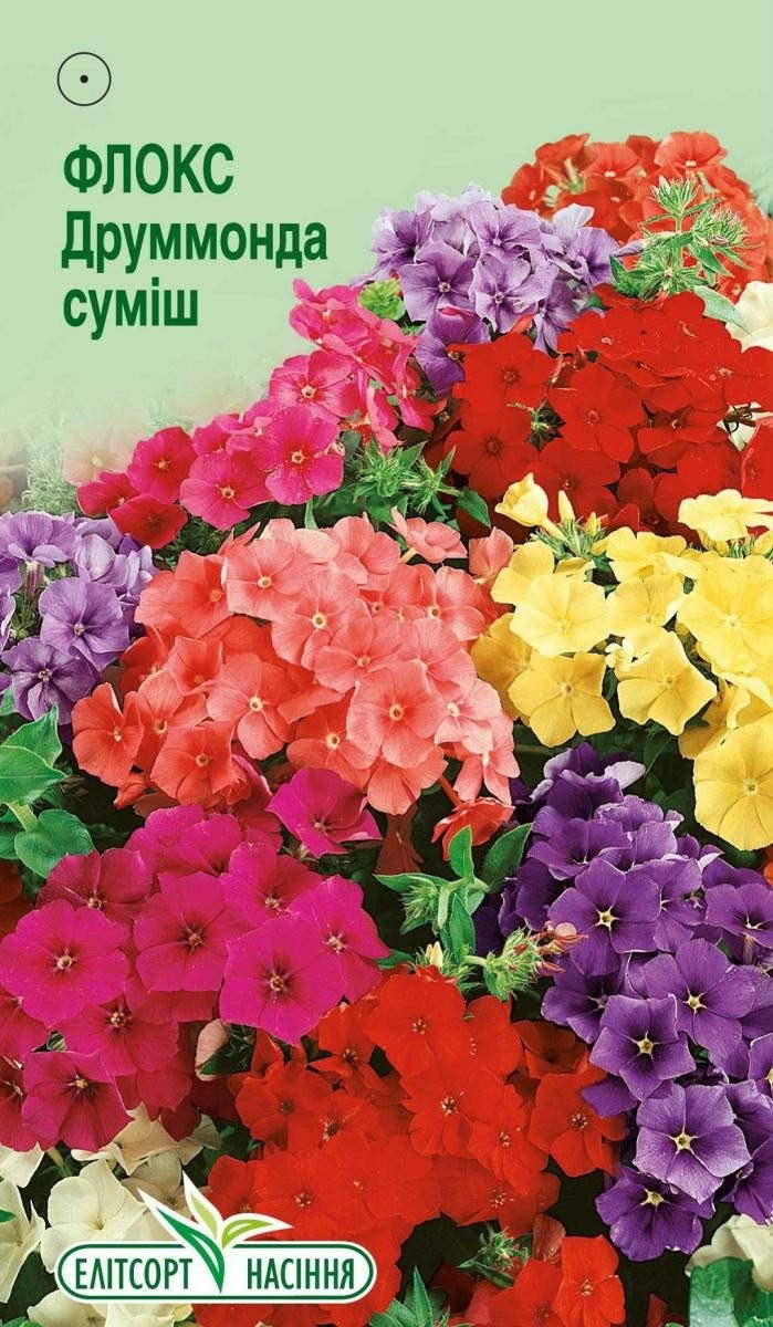 

Семена цветов Флокс Друмонда смесь- 0,1 г (ЭлитСорт), Разные цвета