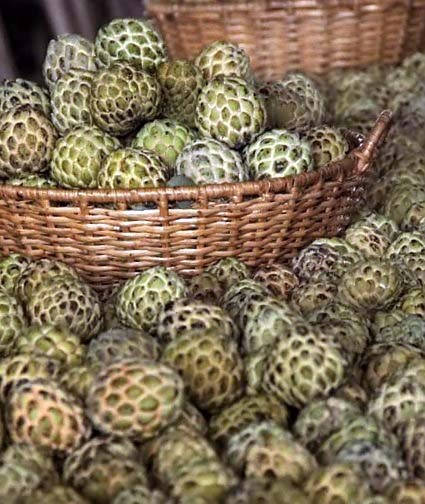 

Annona SQUAMOSA - Аннона луската, Цукрове яблуко. 2насіння