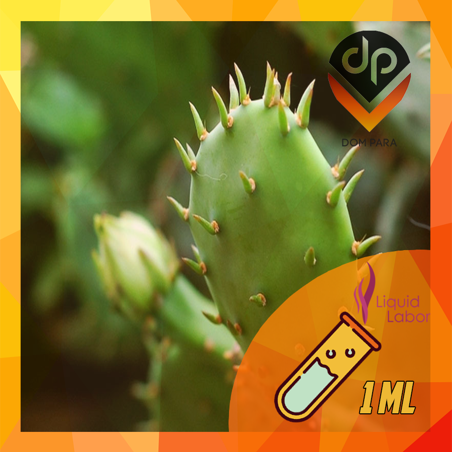 

Ароматизатор Liquid Labor Mexican Cactus 1 мл | Мексиканский кактус