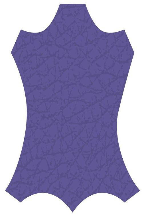 

Краска для кожи KENDA FARBEN TOLEDO SUPER, фиолетовый, 100 мл. (330462)