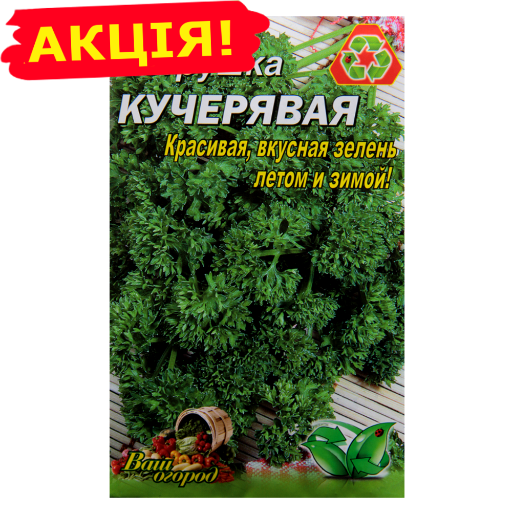 

Петрушка Кучерявая большой пакет 10 г