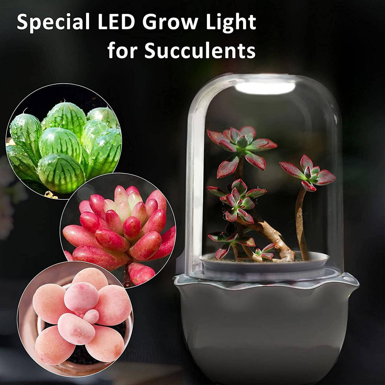 

Новый электронный Usb, Led, горшочек, вазон, емкость для выращивания цветов Суккулентов, Белый