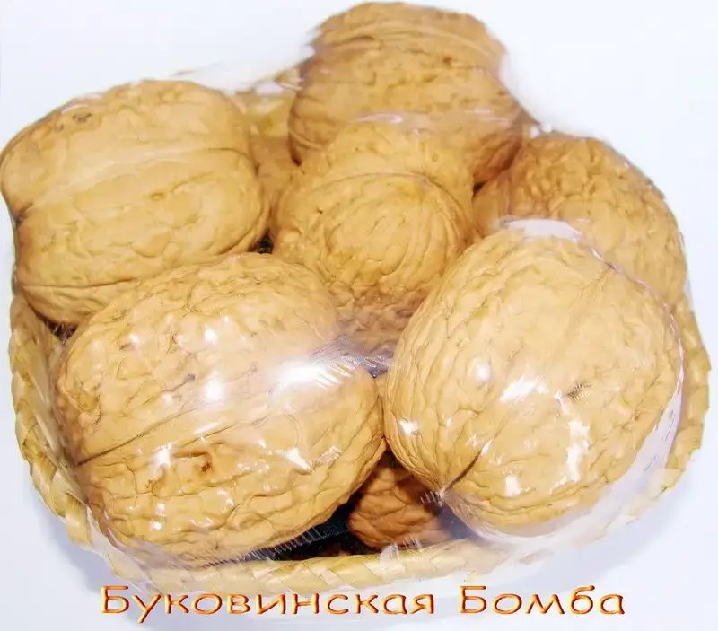 

Грецкий орех "Буковинская Бомба" / 2 года / Саженцы / Премиум Качество