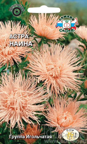 

Семена Астра игольчатая Наина 0,2 грамма Седек, Кремовый