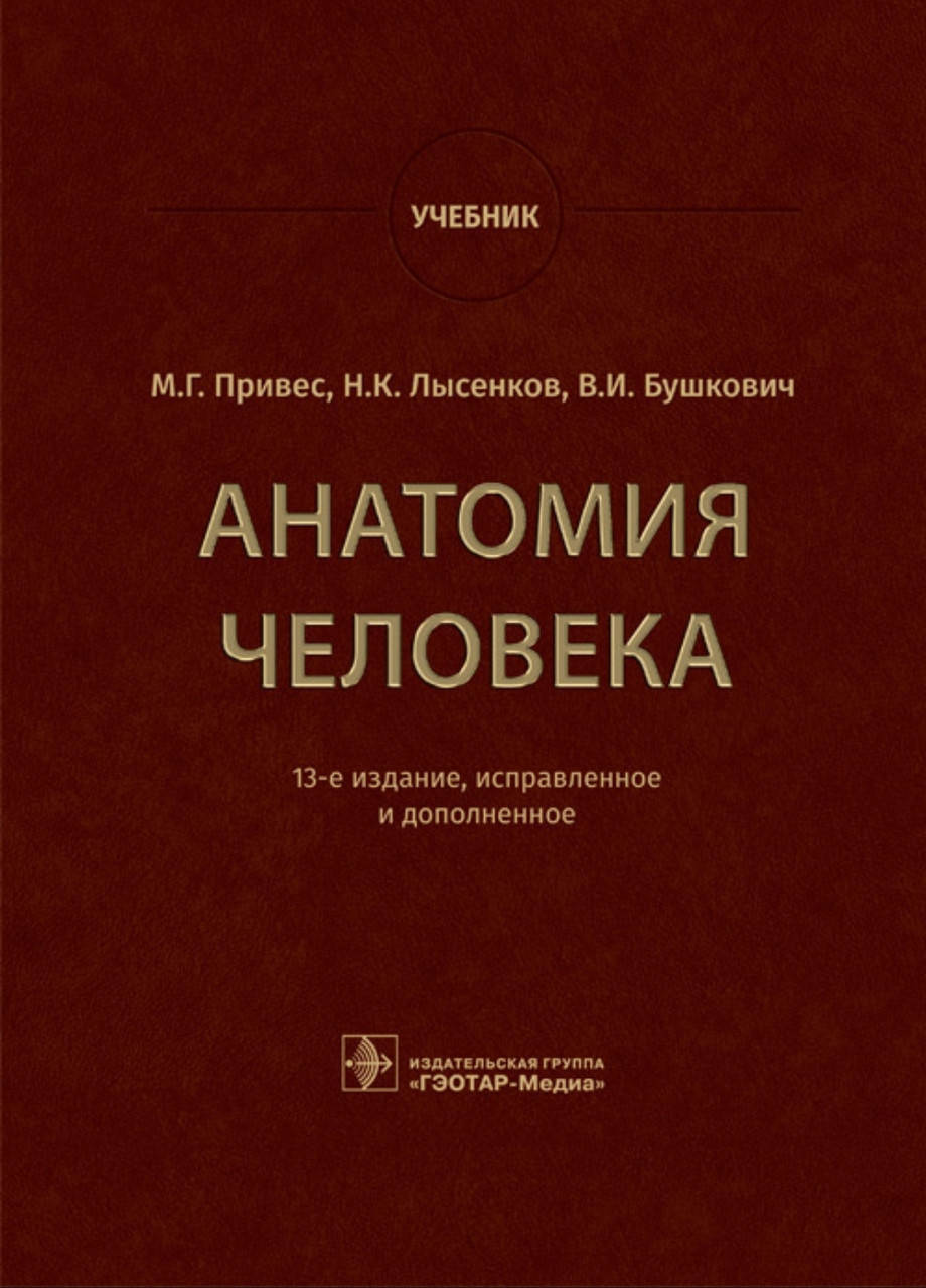 

Привес М.Г., Лысенков Н.К., Бушкович В.И. Анатомия человека. Учебник
