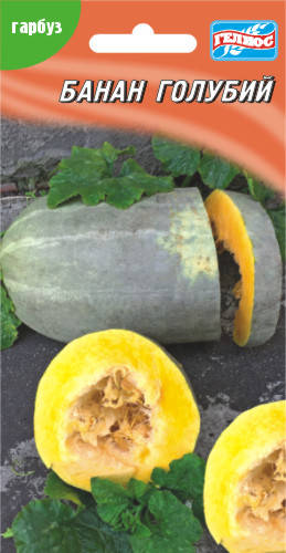 

Семена тыквы Банан голубой 10 шт.