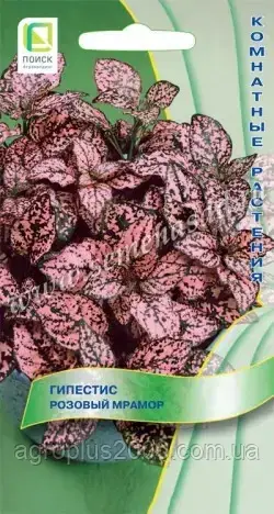 

Семена Гипоестес Розовый Мрамор 7 семян Поиск