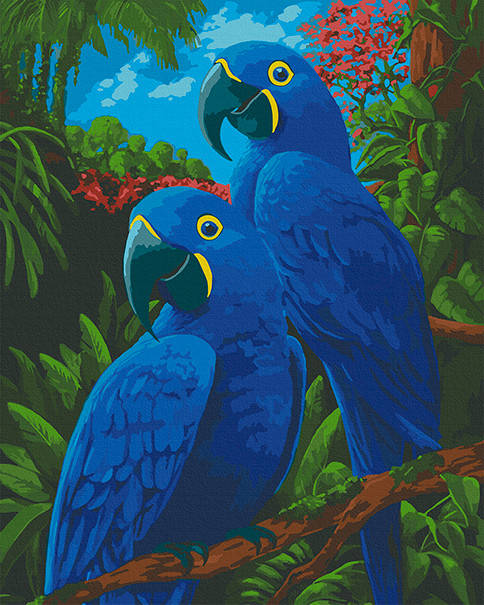 

Картина по номерам Животные "Блакитні Ари" 40х50 см 11639-AC