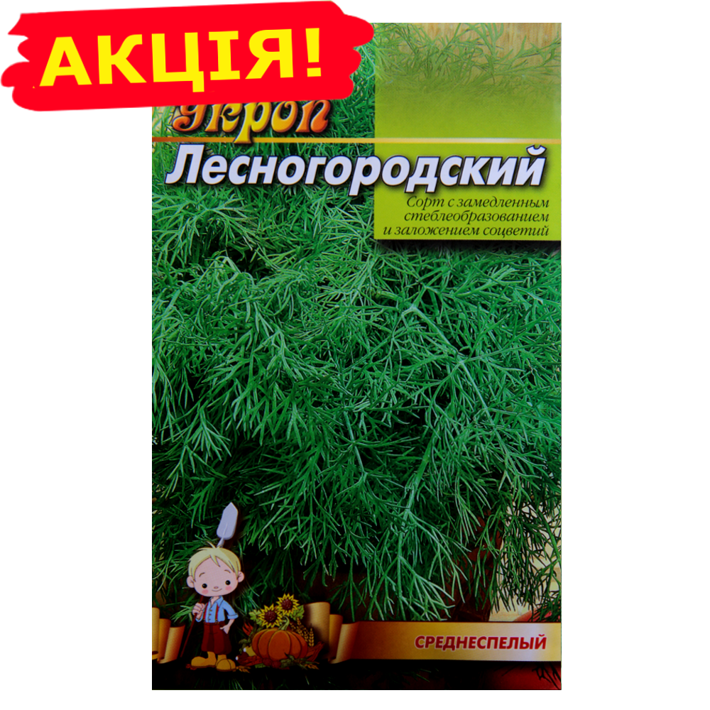

Укроп Лесногородский семена, большой пакет 20 г