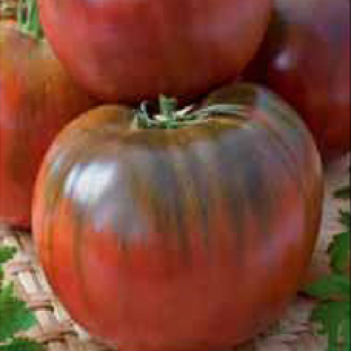 

Томат "Черный принц"