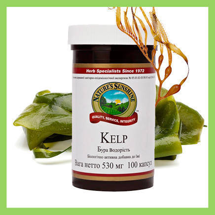 

Бурая водоросль, Келп НСП (Kelp Nsp) Для щитовидной железы. НАТУРАЛЬНАЯ БИОДОБАВКА