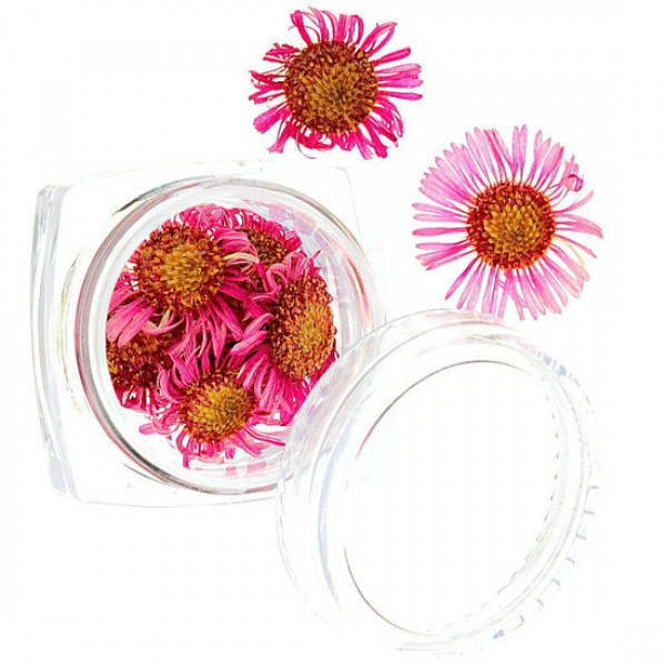 

Сухоцветы №52, Розовый