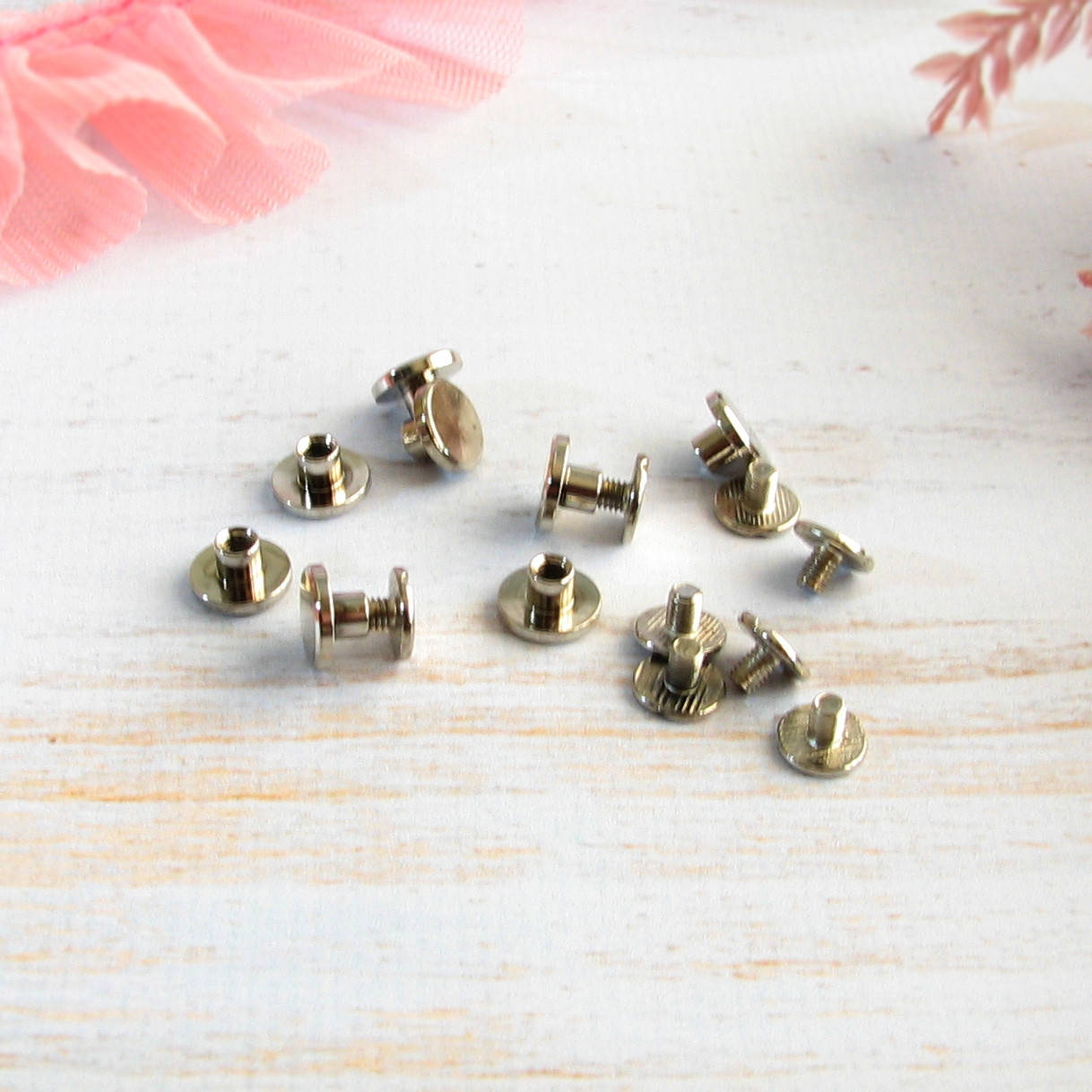 

Болты полиграфические, крепление для кольцевого механизма М4 Серебро 4мм 2шт (BLT008)