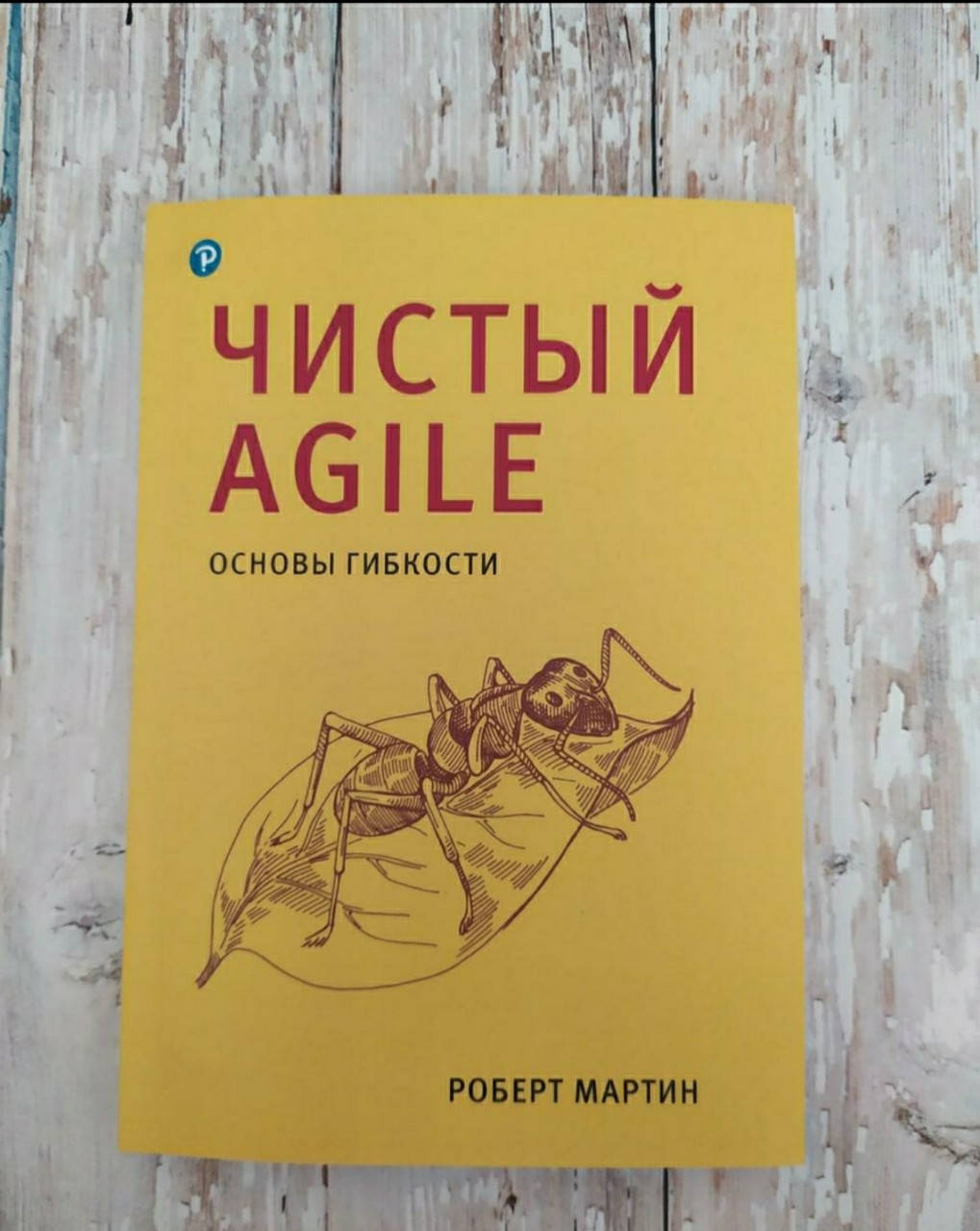 

Чистый AGILE. Основы гибкости. Роберт Мартин