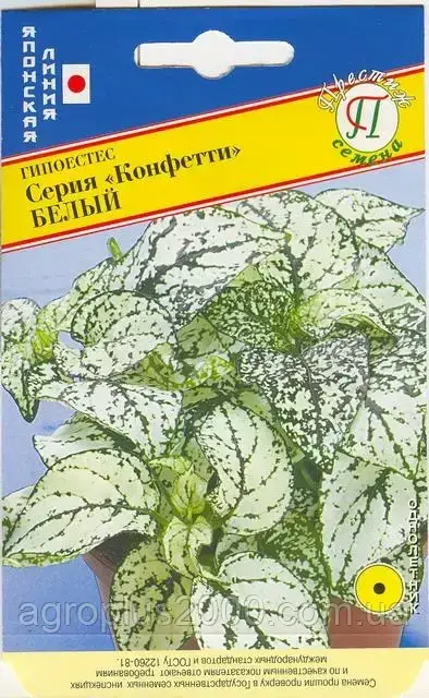 

Семена Гипоестес Конфетти Белый 10 семян Престиж