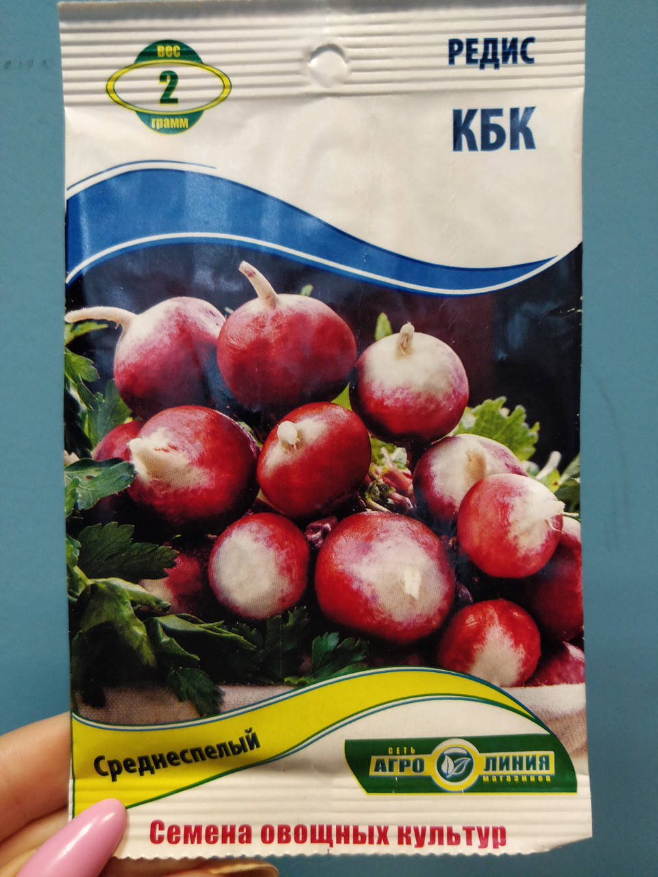 

Семена редис чбк. среднеспелый 2г