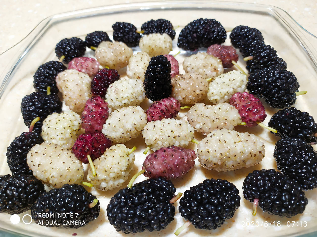 

Черенки шелковицы