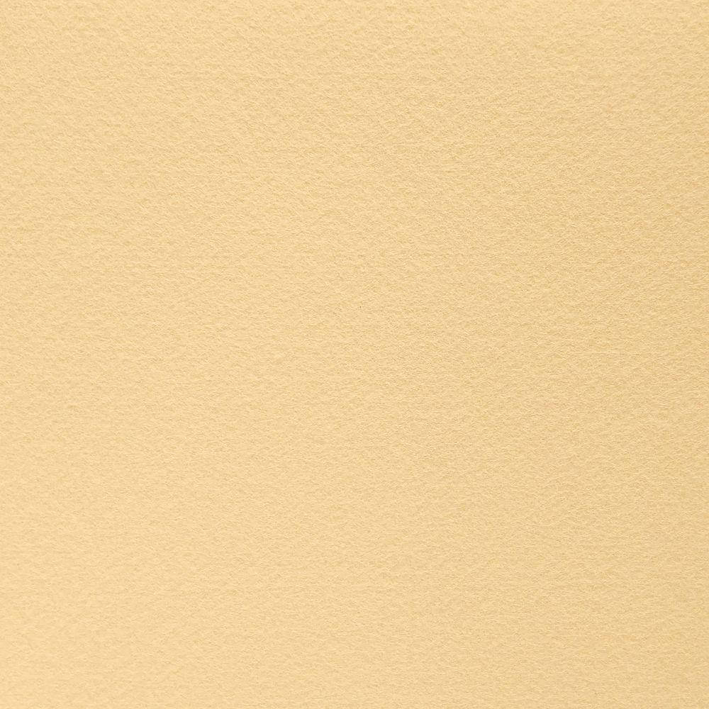 

Фетр корейский жесткий 1.2 мм, 22x30 см, ПЕСОЧНО-ЖЕЛТЫЙ 809