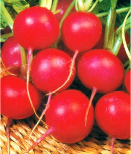 

Семена редиса Сора (Укр.)