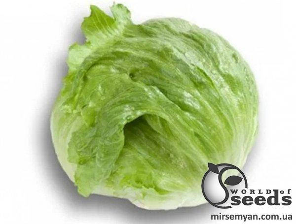 

Салат Картагенас 10 сем. Л