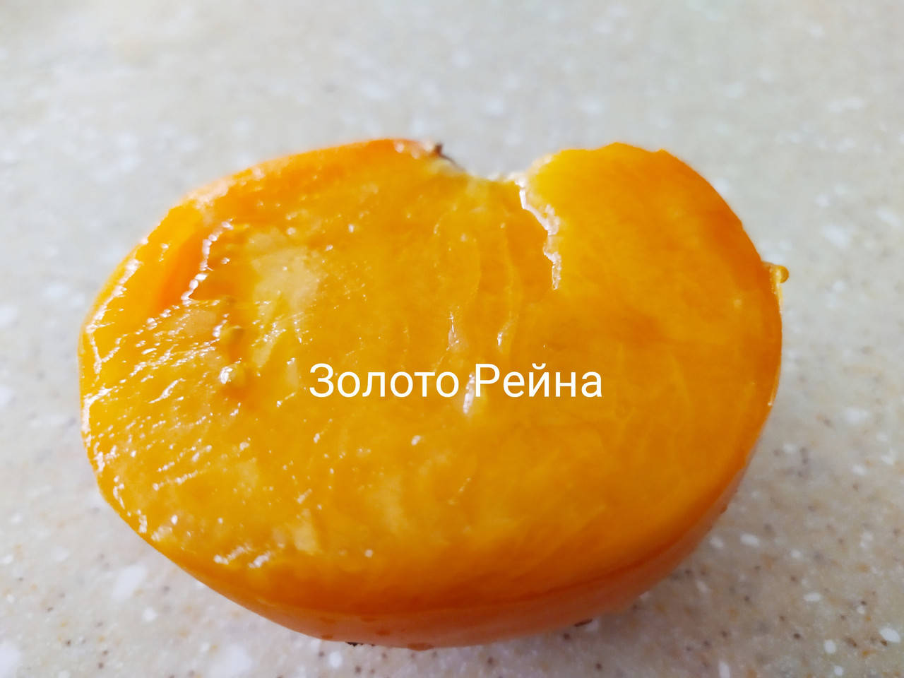 

Томат Золото Рейна