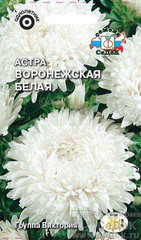 

Семена Астра Воронежская Белая 0,2 грамма Седек, Белый