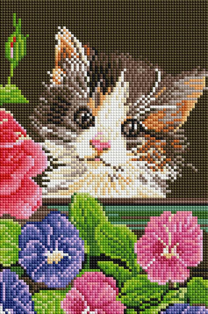 

Алмазная мозаика ColorArt 20х30 Котик в цветах DT723