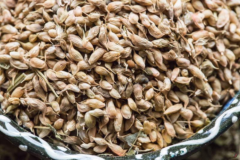 

Уцхо сунели,семена (пажитник голубой)