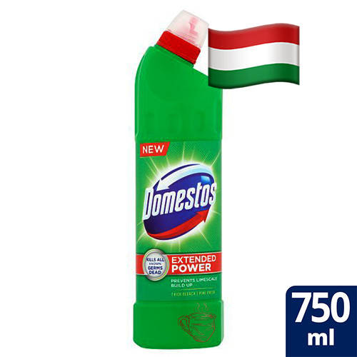 

Жидкость для дезинфекции Domestos Forest 750мл