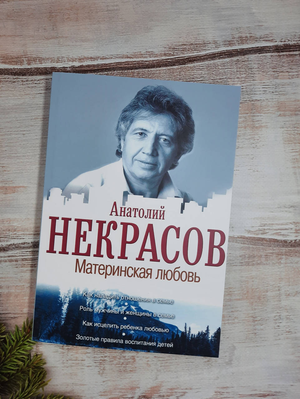 

Некрасов Материнская любовь