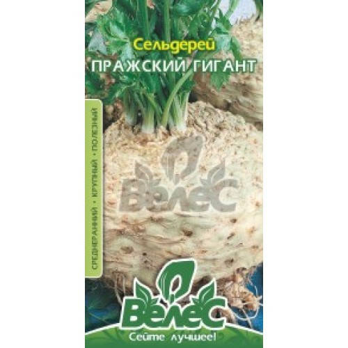 

Семена сельдерея корневого Пражский гигант 0,3г ТМ ВЕЛЕС