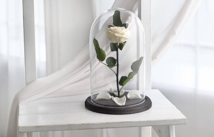 

Вечная роза в колбе 32х22 см. (БЕЛАЯ) Гарантия 3 года