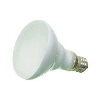 

Лампа точечного нагрева REPTI-ZOO Beam Spot 150W (RZ-BS95150)