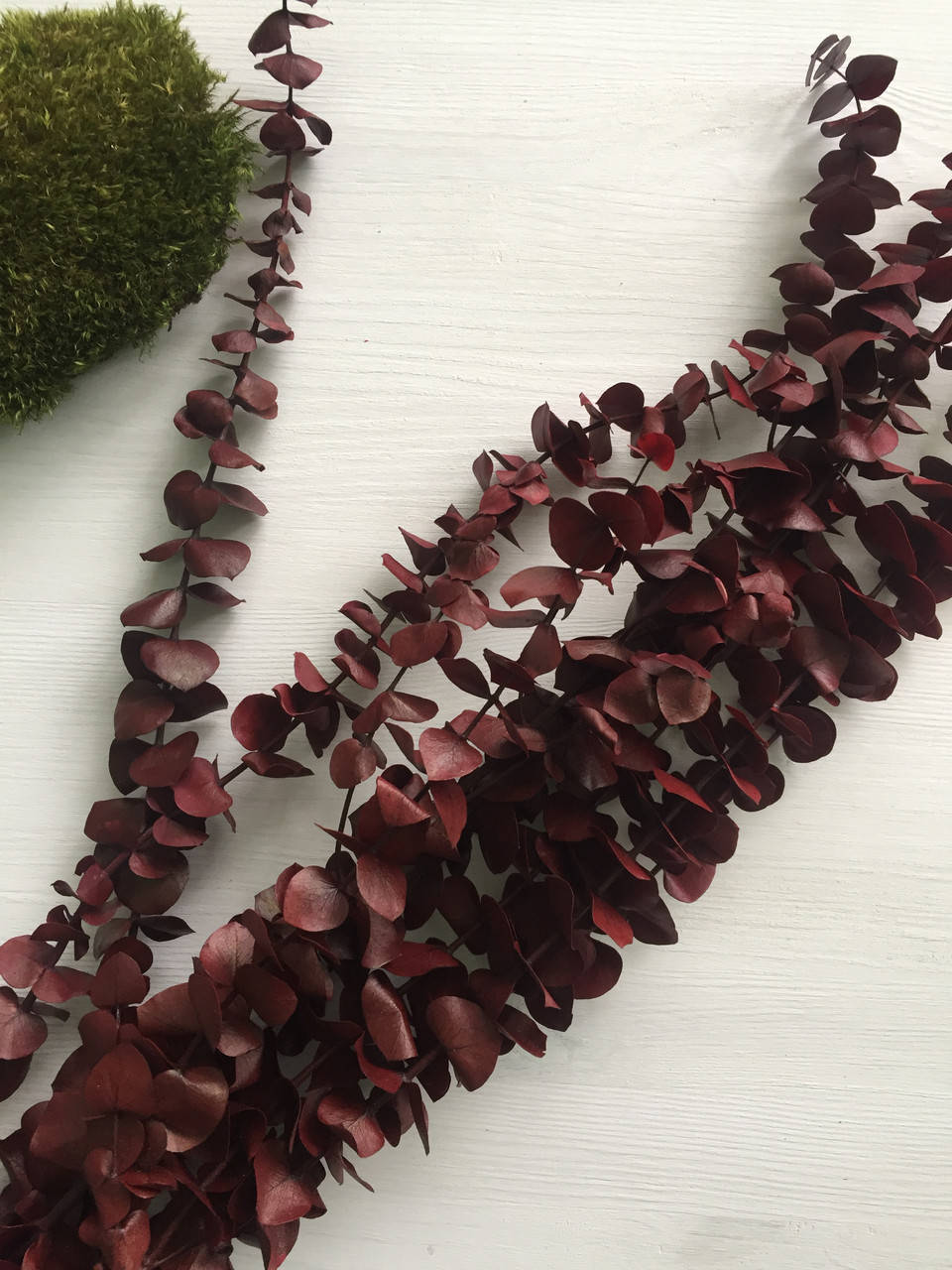 

Эвкалипт беби блу бордово-красный 110 гр