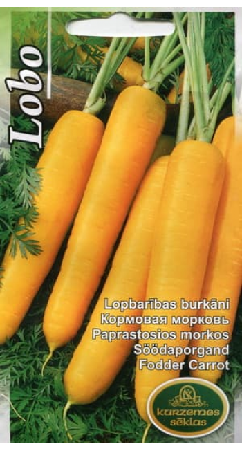 

Семена моркови кормовой Лобо семян. 100 грамм PlantiCO/ПОЛЬША