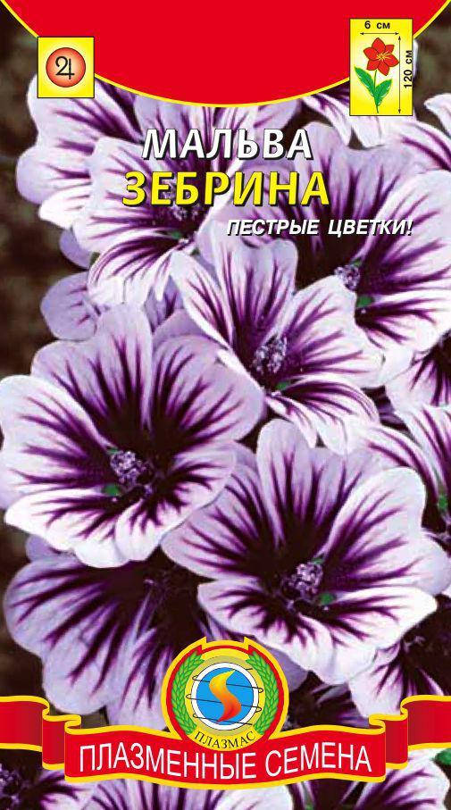 

Мальва Зебрина 10 шт (Плазменные семена)