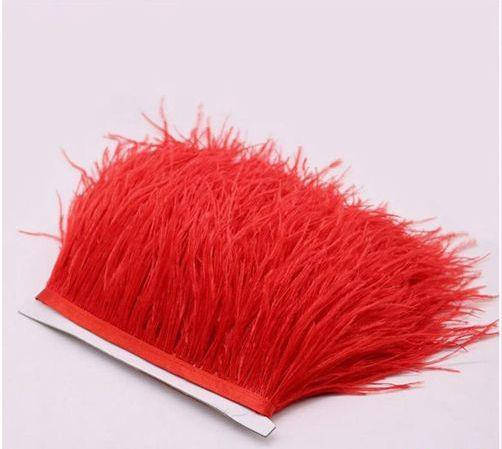 

Тесьма перьевая из перьев страуса. Цвет Красный. Перо 10-15см. Цена за 0,5м.