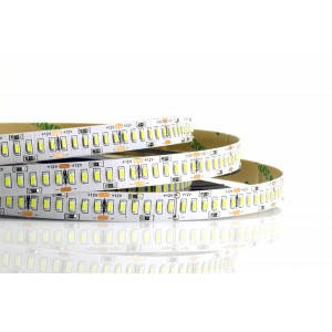 

Светодиодная лента Prolum SMD 3014 (240 led/m) IP20 Белая холодная, Standard (320025)