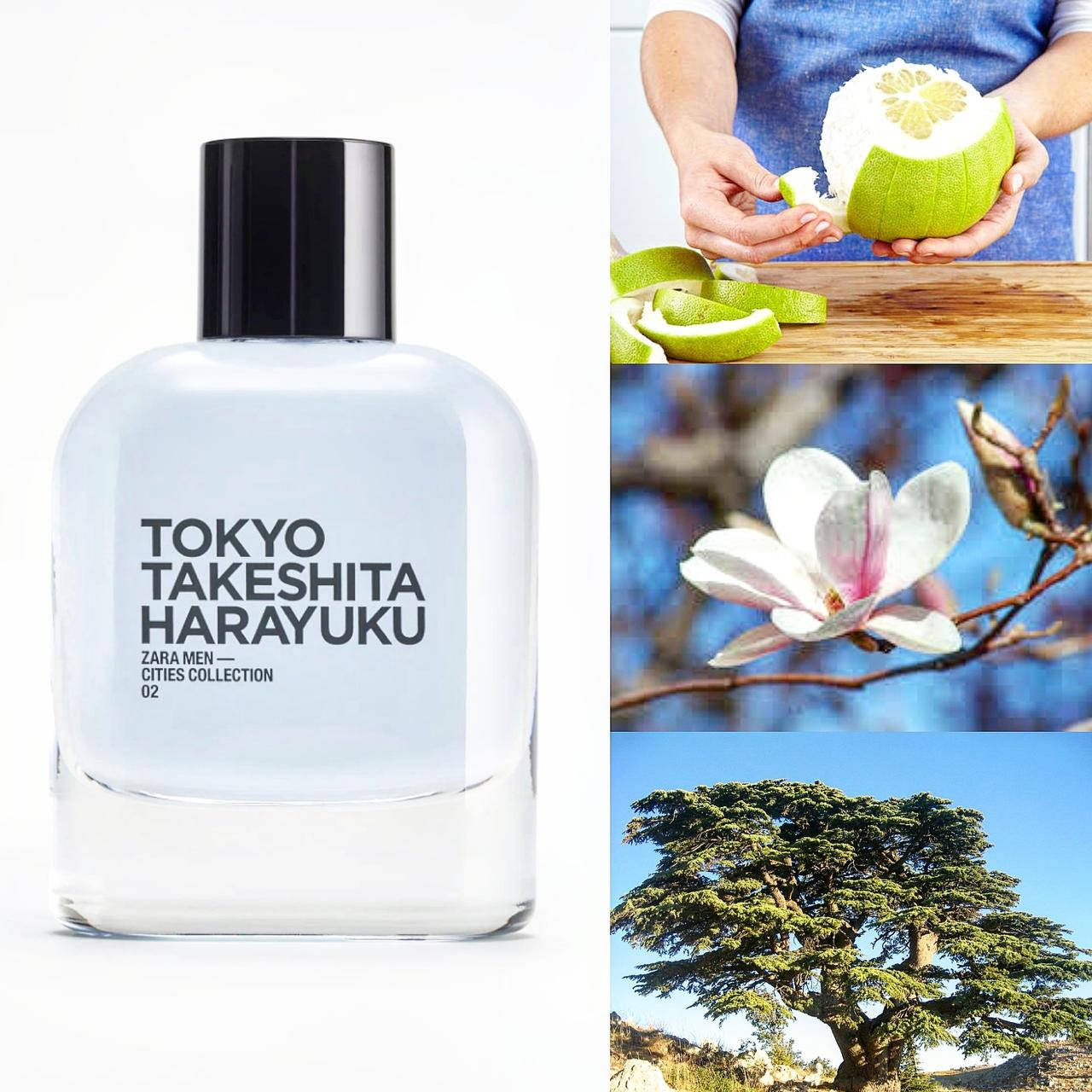 

Чоловічі парфуми ZARA Tokyo Takeshita Harayuku 80 мл ТЕСТЕР