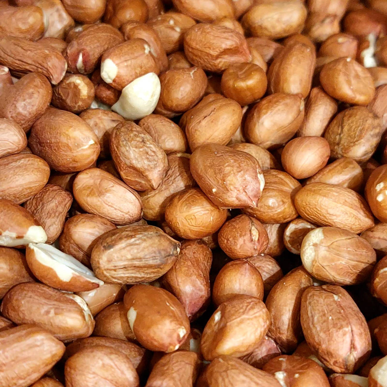 

Арахис Болд 38/42 сырой Бразилия