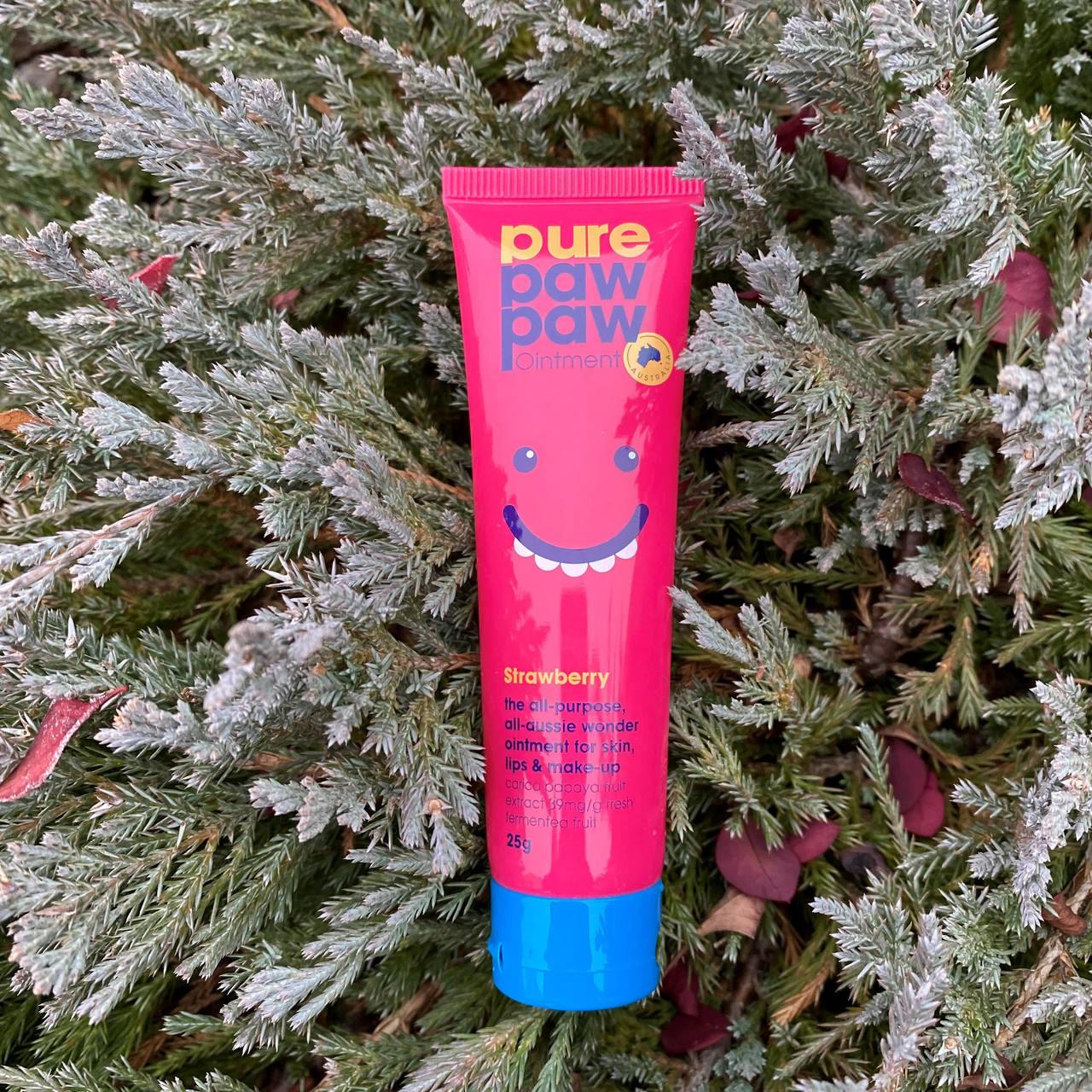 

Бальзам Для Губ Pure Paw Paw Ointment Strawberry