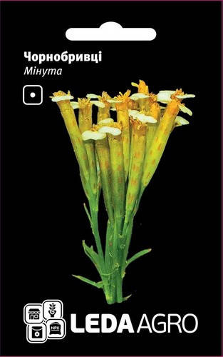 

Семена бархатцев Минута (Tagetes Minuta), 0,3 гр, ТМ "ЛедаАгро"