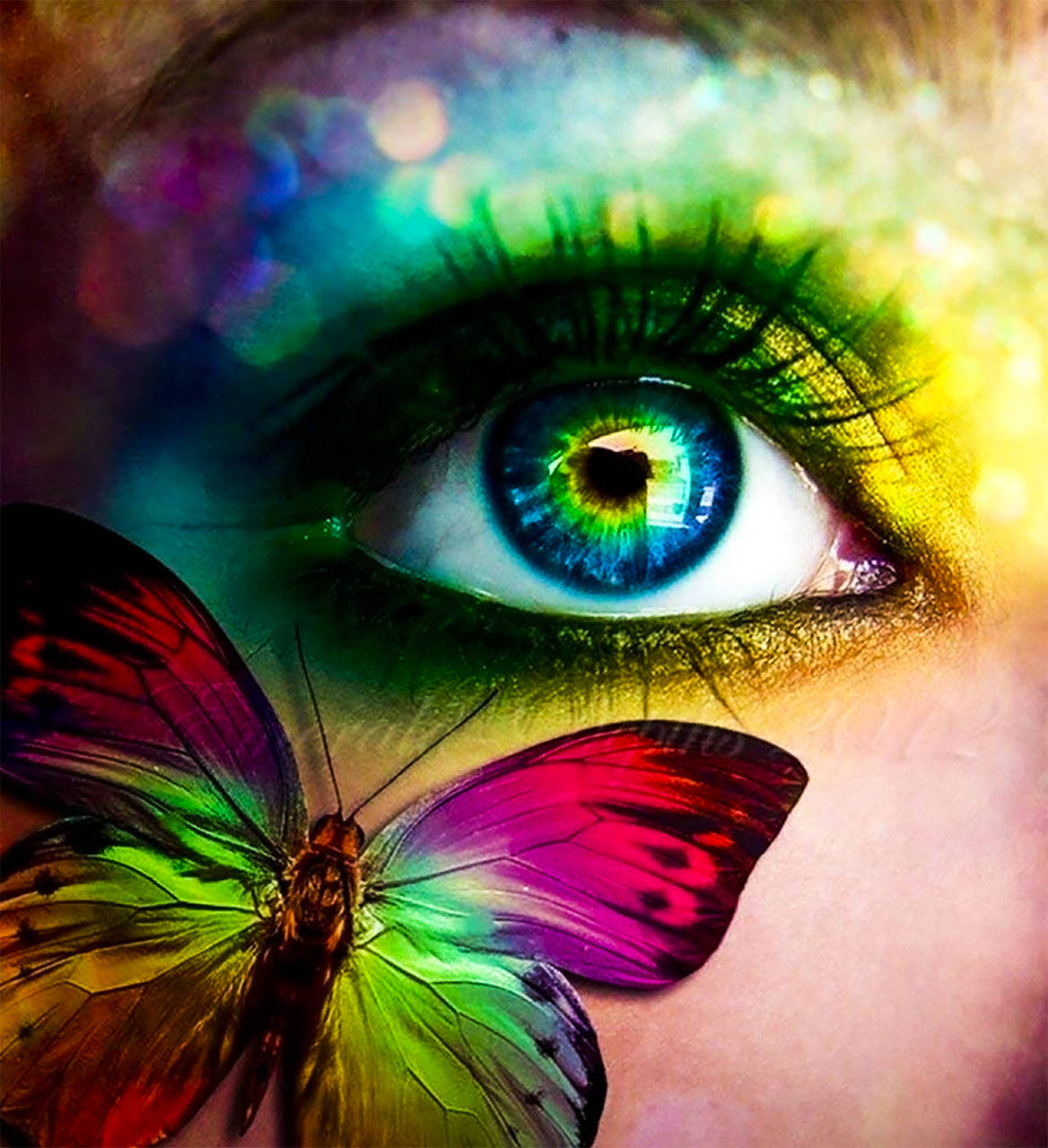 

Алмазная живопись. Набор алмазной вышивки "Взгляд бабочки". Размер 30*30 см.