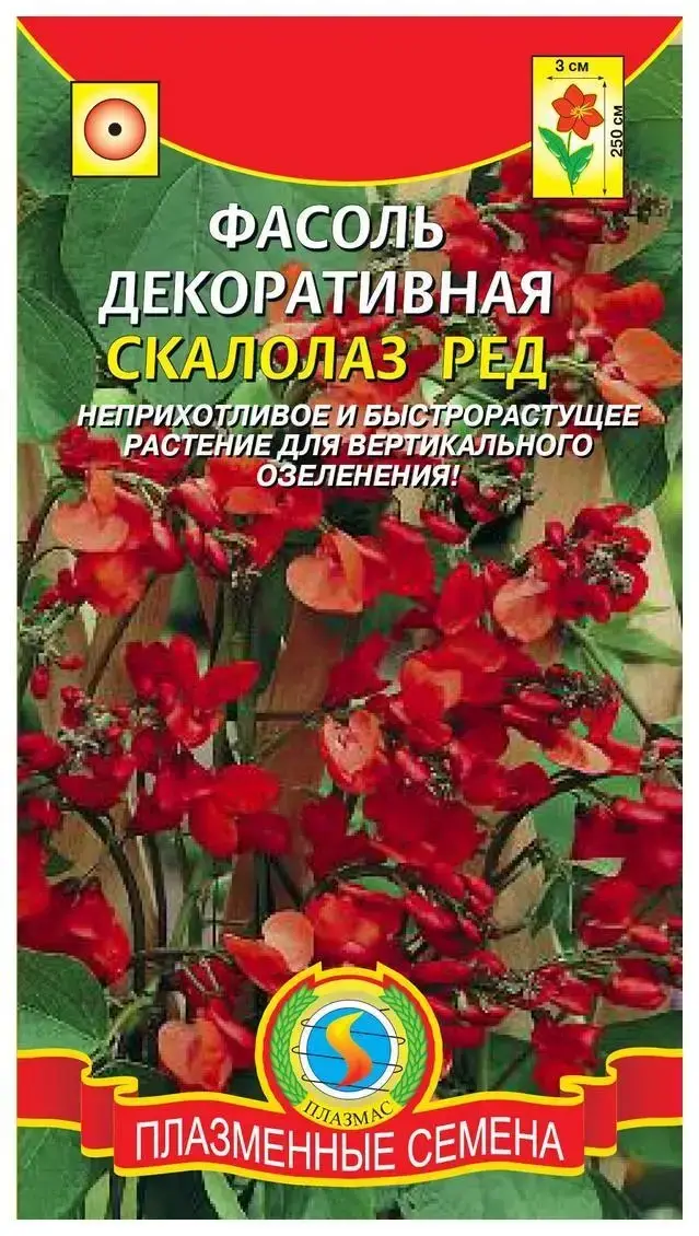 

Фасоль Декоративная Скалолаз Ред 3шт