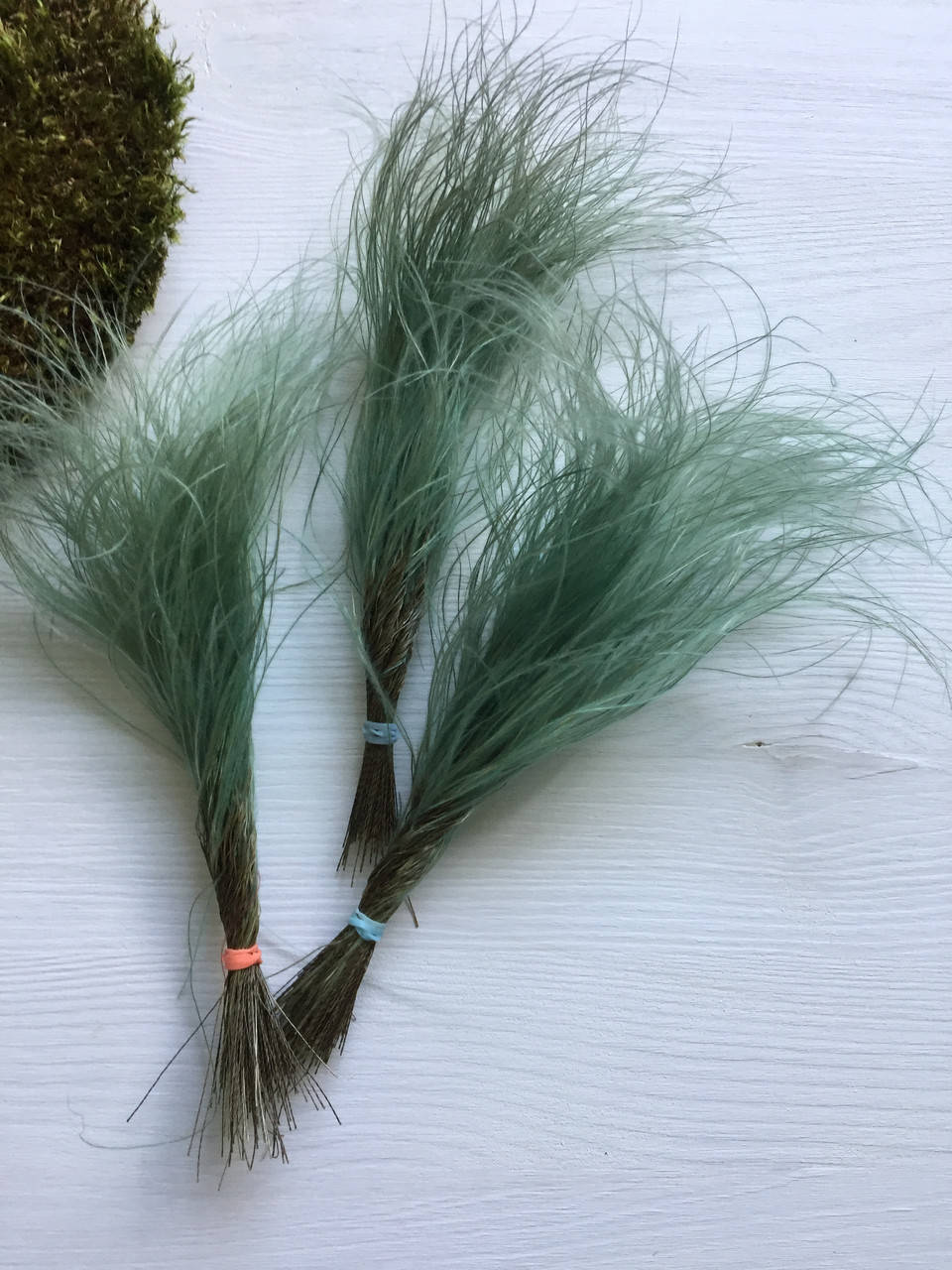 

Ковыль бирюзовый (250+)