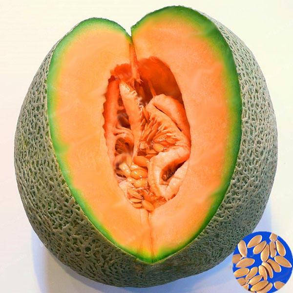 

Отдушка водорастворимая Дыни, 1 литр